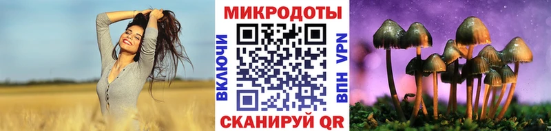 Псилоцибиновые грибы мухоморы  Купить где  Пудож 